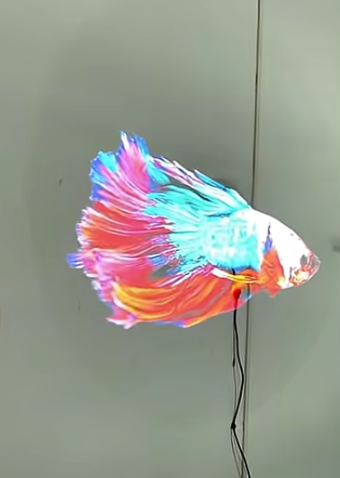 Snímka obrazovky 2026-04-21 091655